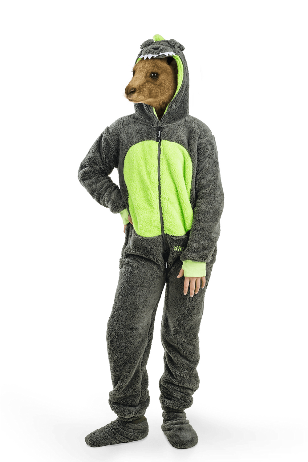 Dinosaur Teddy Kids Onesie